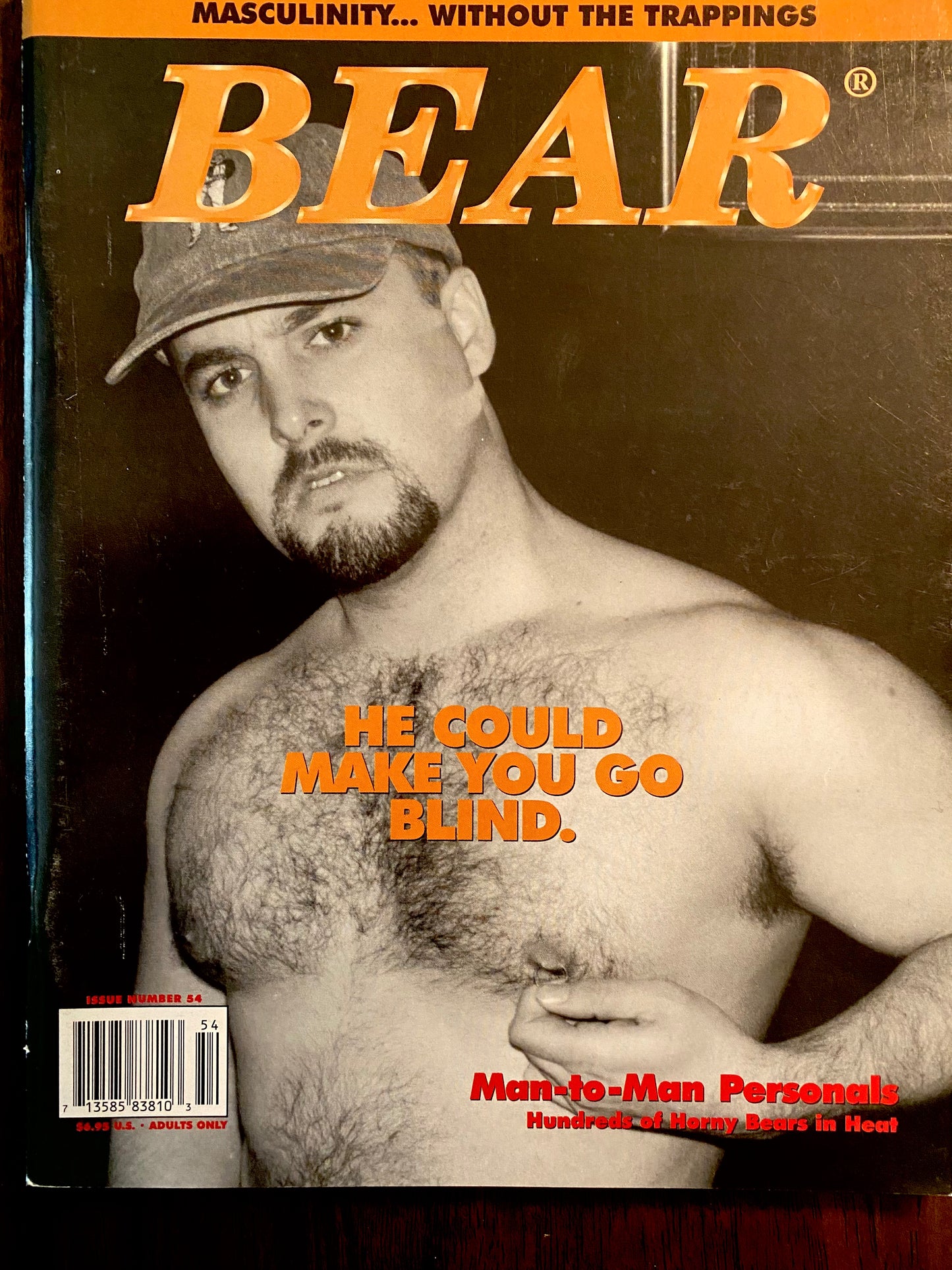 Vintage Bear Magazine # 54