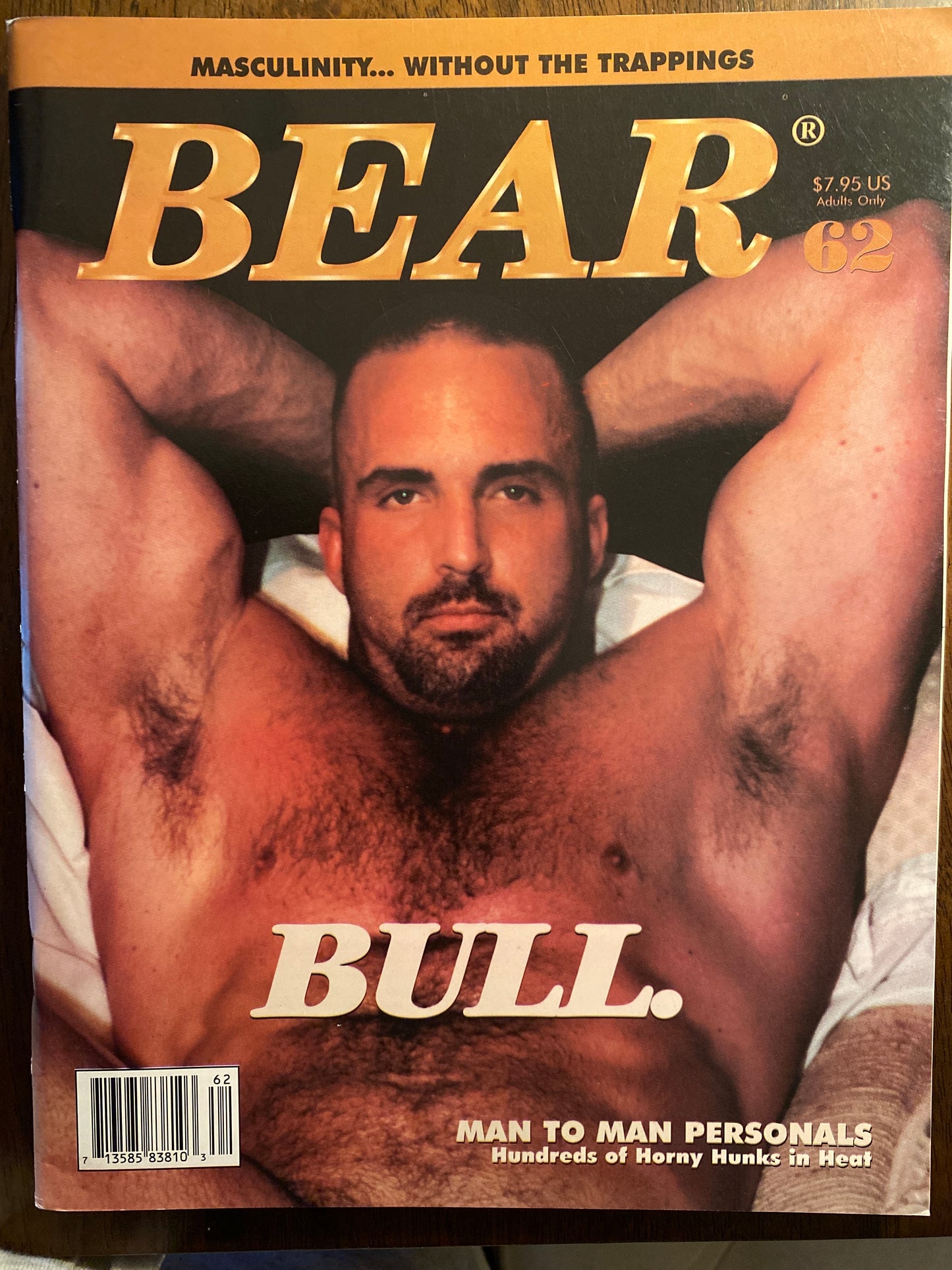 Vintage Bear Magazine # 62