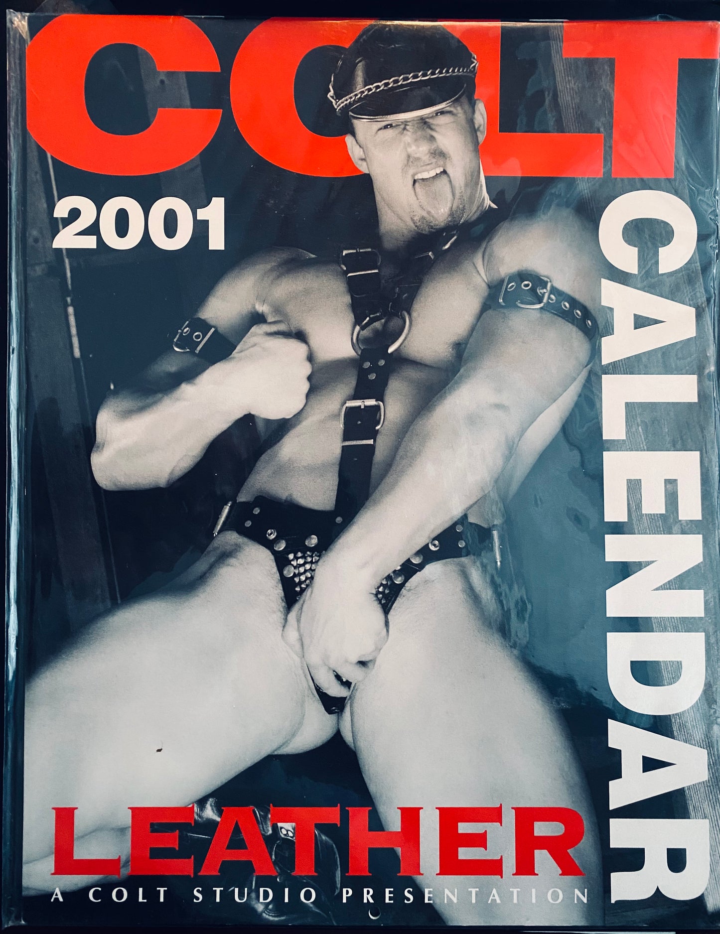 Colt Leather Calendar 2001